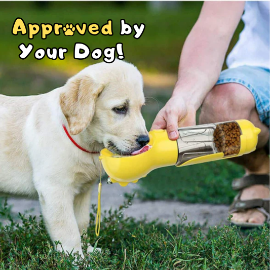 Portable Dog Water (4 in 1)